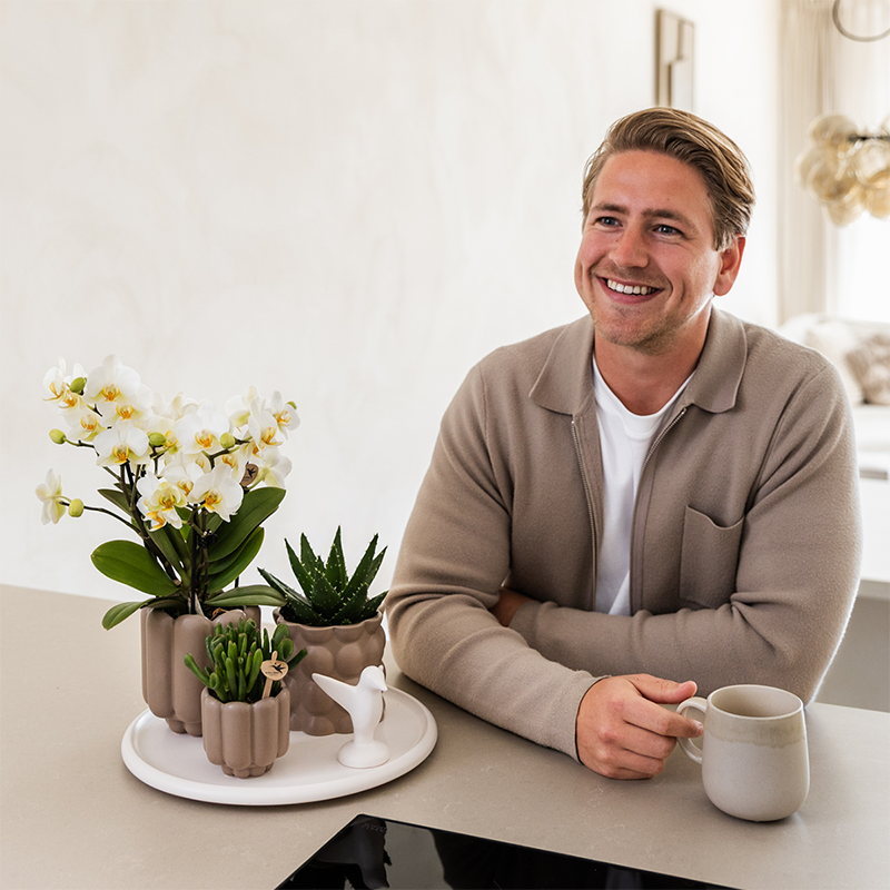 Geschenkset Slow Living | Grüne Pflanzen mit Weißer Phalaenopsis Orchidee Lausanne in Beigen Keramiktöpfen auf Weißem Tablett