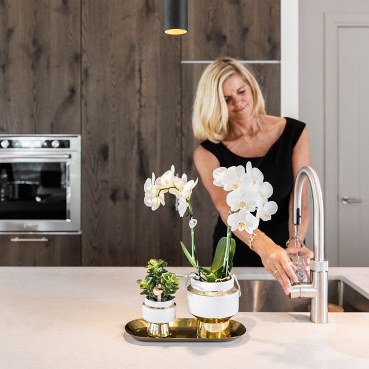 Kolibri Orchids | Geschenkset Le Chic Gold - Weiße Phalaenopsis Orchidee Mineral Amabilis & Sukkulente