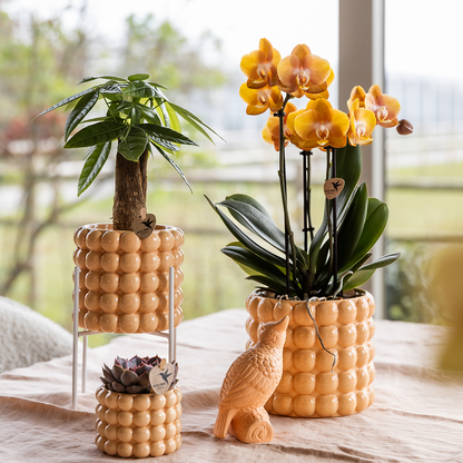 Kolibri Home | Poppy Ziertopf - Peach - Ø6cm