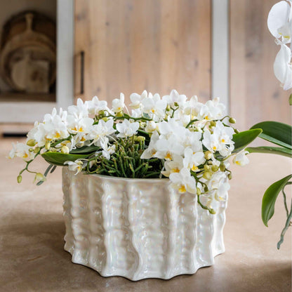 Kolibri Orchids | Weißes Jungle Bouquet Botanic Nazare in Oyster Dish