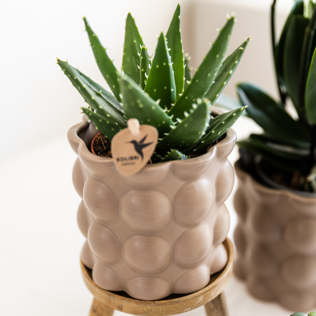 Kolibri Home | Cotton sierpot - Sand - Ø9cm