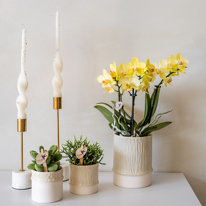 Kolibri Home | Tree Übertopf - Travertine - Ø6cm