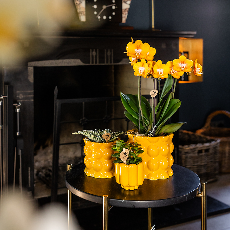 Kolibri Home | Cotton Shine Übertopf - Yellow - Ø9cm