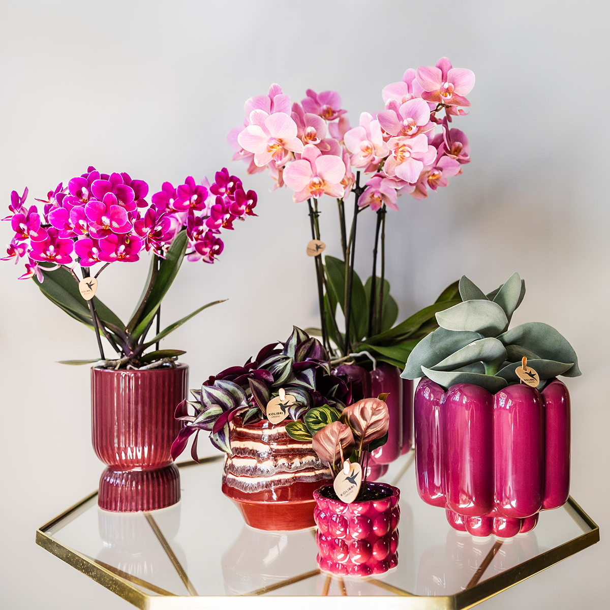 Kolibri Home | Diabolo-Ziertopf | Ø9cm - Burgundy