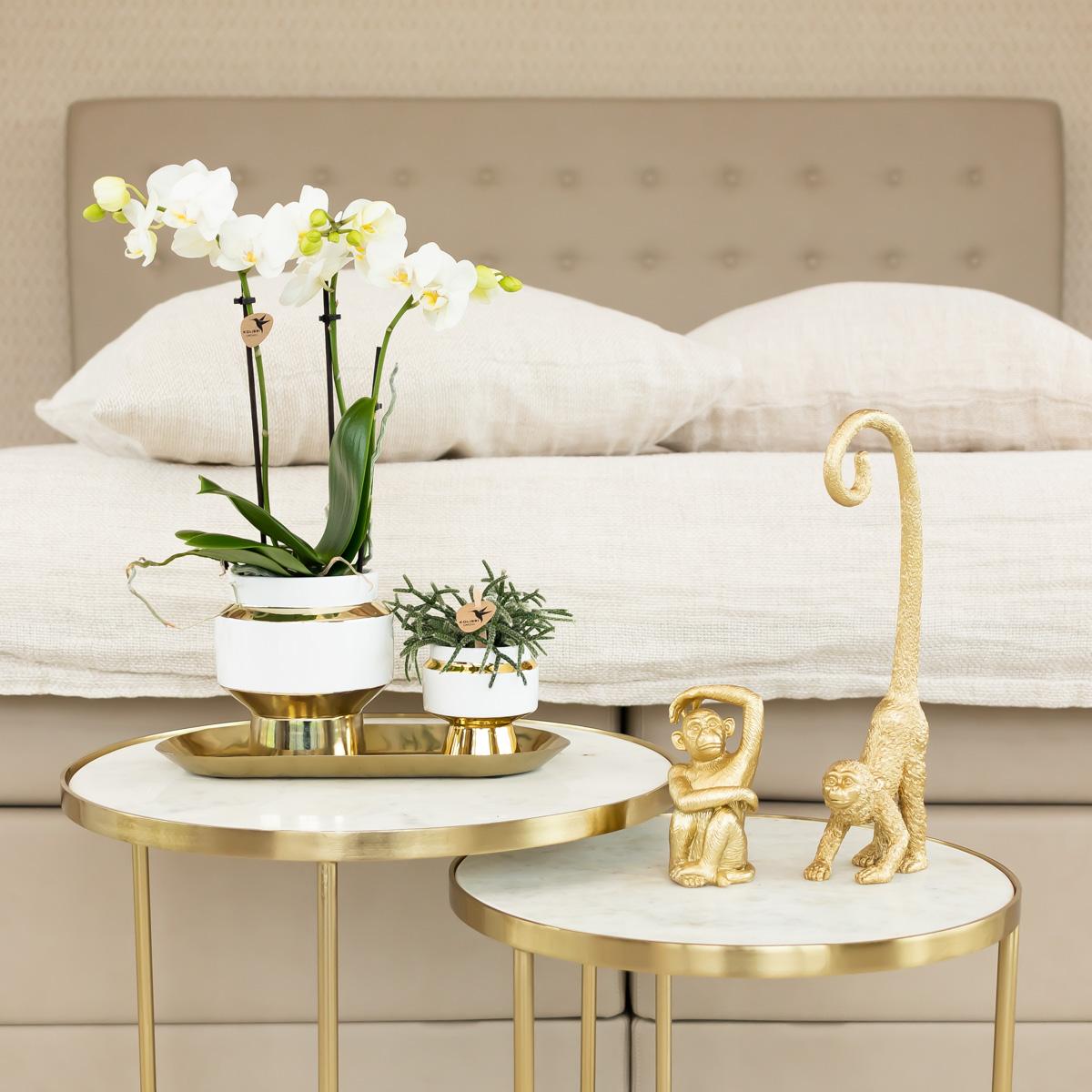 Kolibri Home | Le Chic Übertopf - Gold - Ø6cm