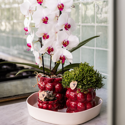 Kolibri Home | Cotton Shine Übertopf - Red - Ø12cm