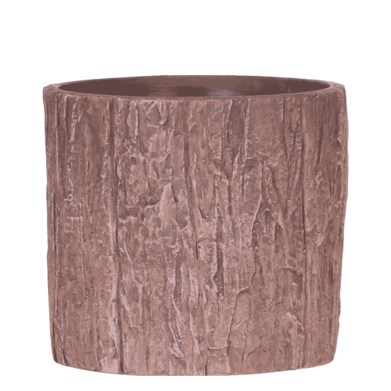 Kolibri Home | Tree Übertopf - Ø9 cm