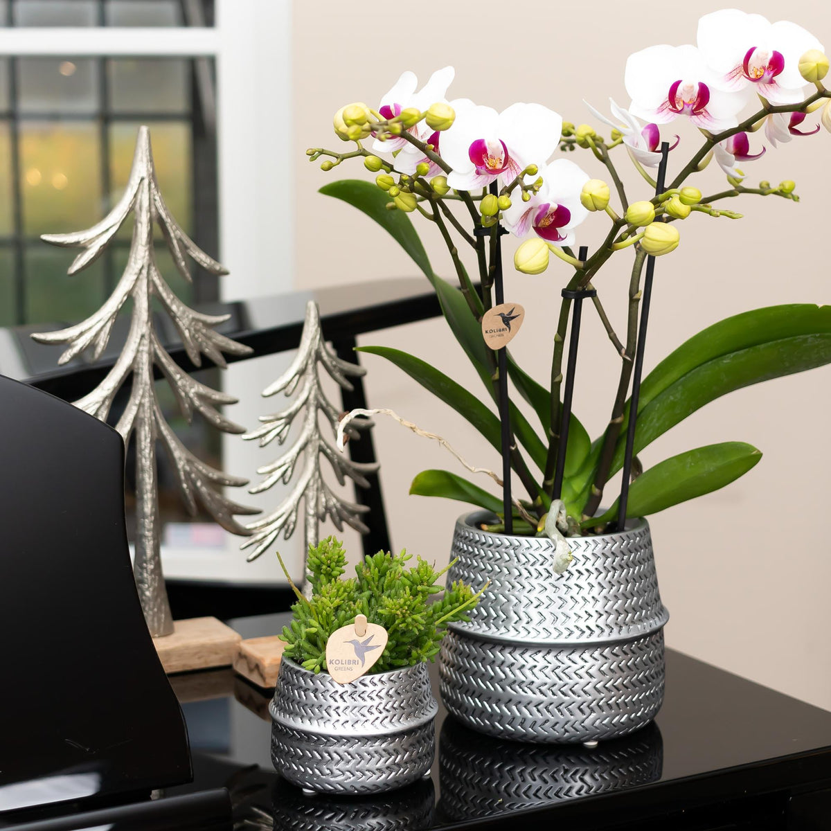 Kolibri Home | Groove Blumentopf - Goldener Keramik-Topf - Ø6cm