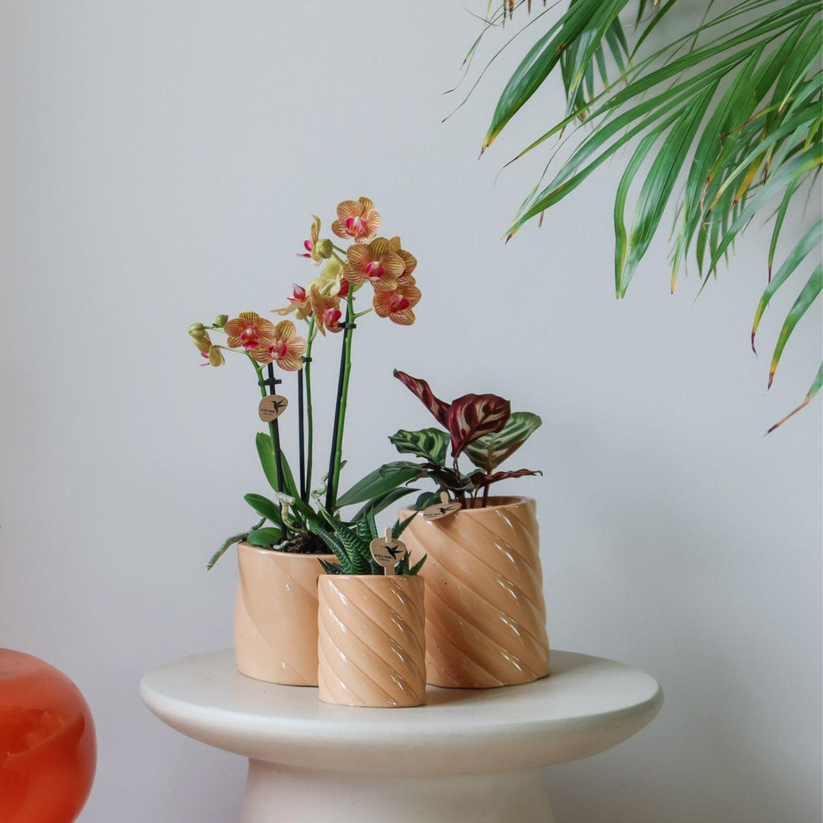 Kolibri Home | Candy Dekotopf - Peach - Ø9cm