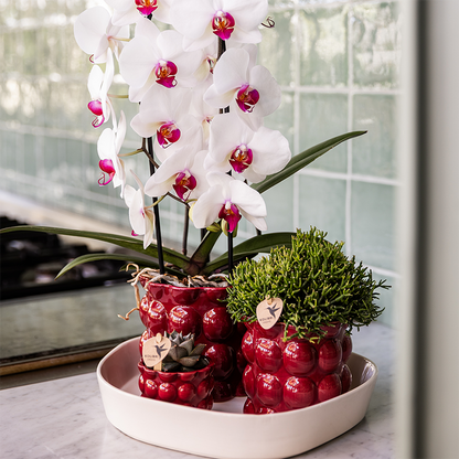 Kolibri Home | Cotton Shine Übertopf - Red - Ø9cm