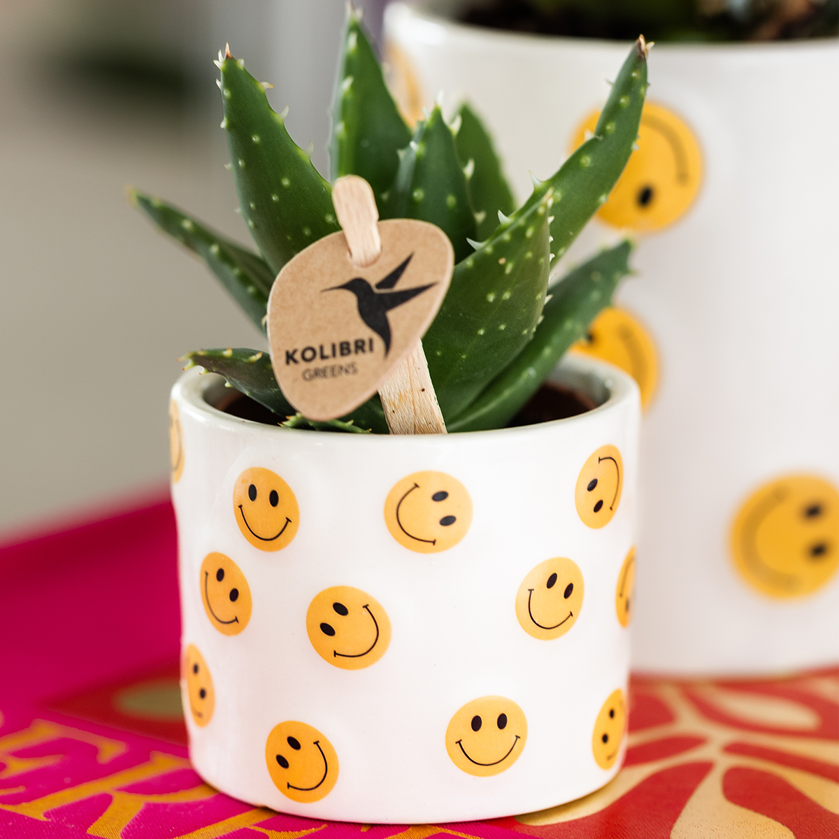Kolibri Home | Smiley Übertopf - Ø6cm