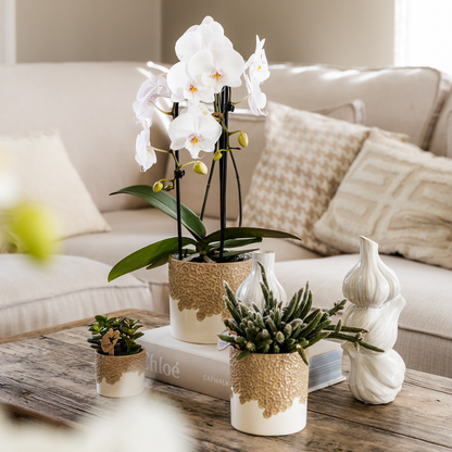 Set Bloom Sand klein