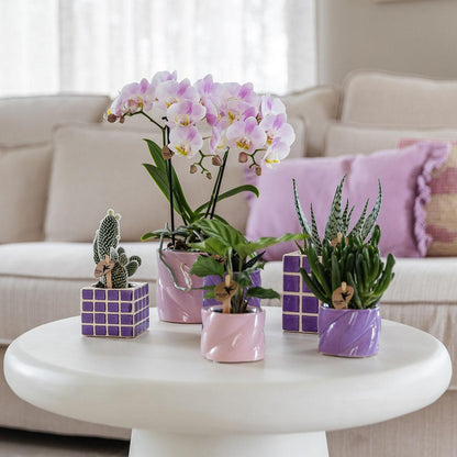 Kolibri Home | Candy Dekotopf - Pink - Ø6cm