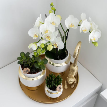 Kolibri Home | Dekorative Tablett - Rundes goldenes Tablett Ø30cm