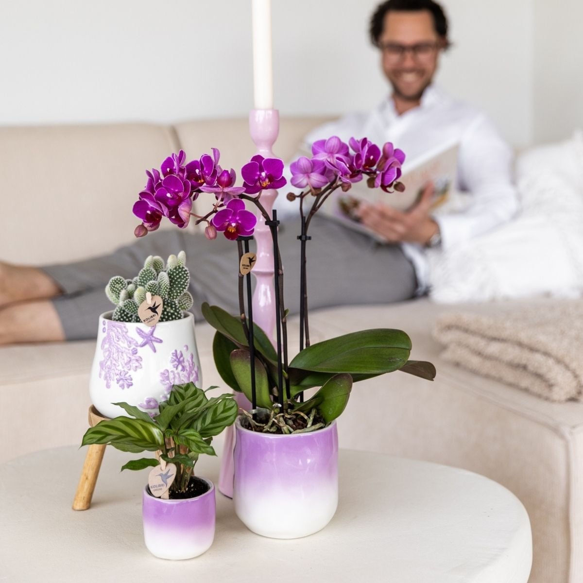 Kolibri Home | Gradience Übertopf - Violett - Ø6cm
