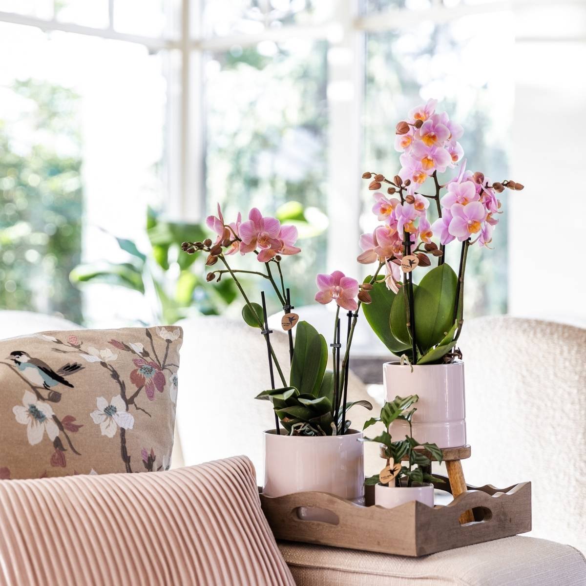 Kolibri Home | Pastel Übertopf - Rosa