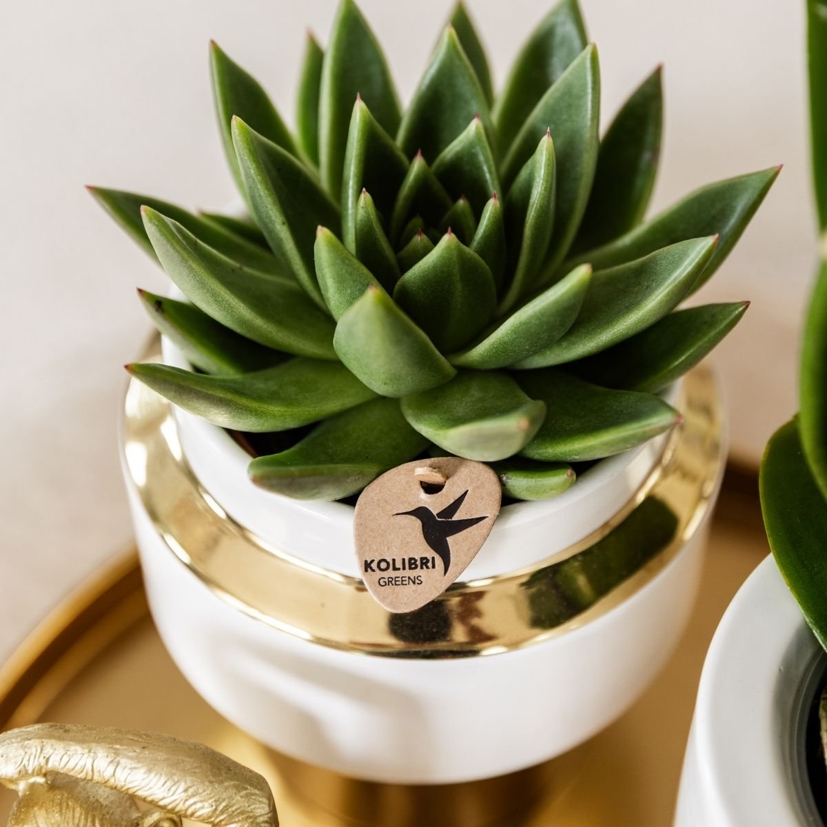 Kolibri Home | Le Chic Übertopf - Gold - Ø9cm
