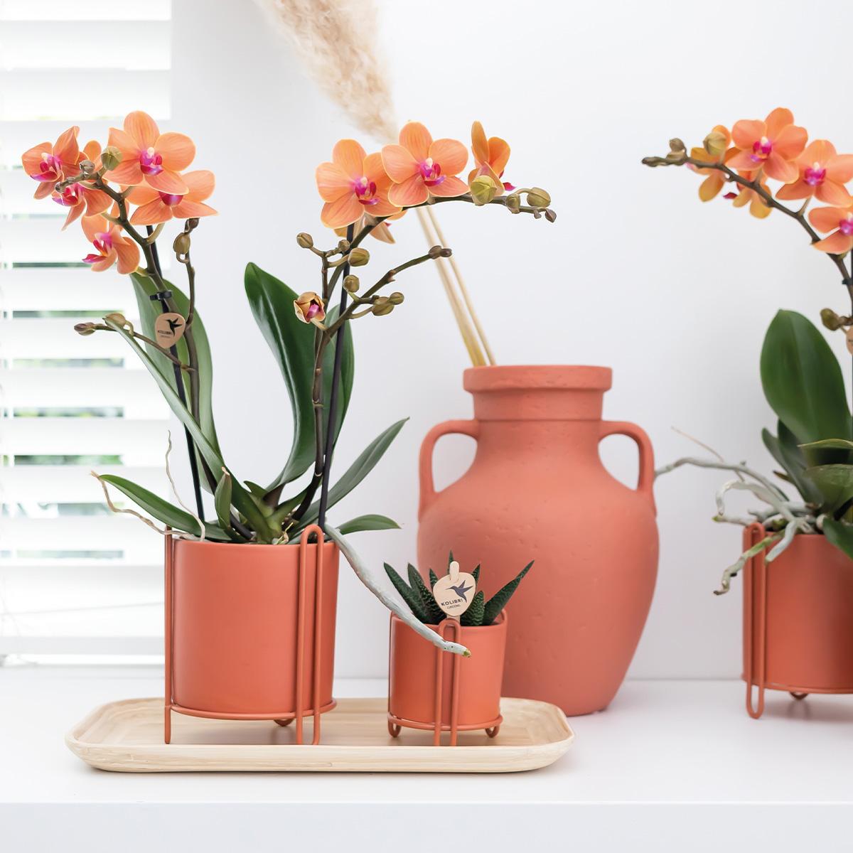 Kolibri Home | Ovales Tablett aus Bambus