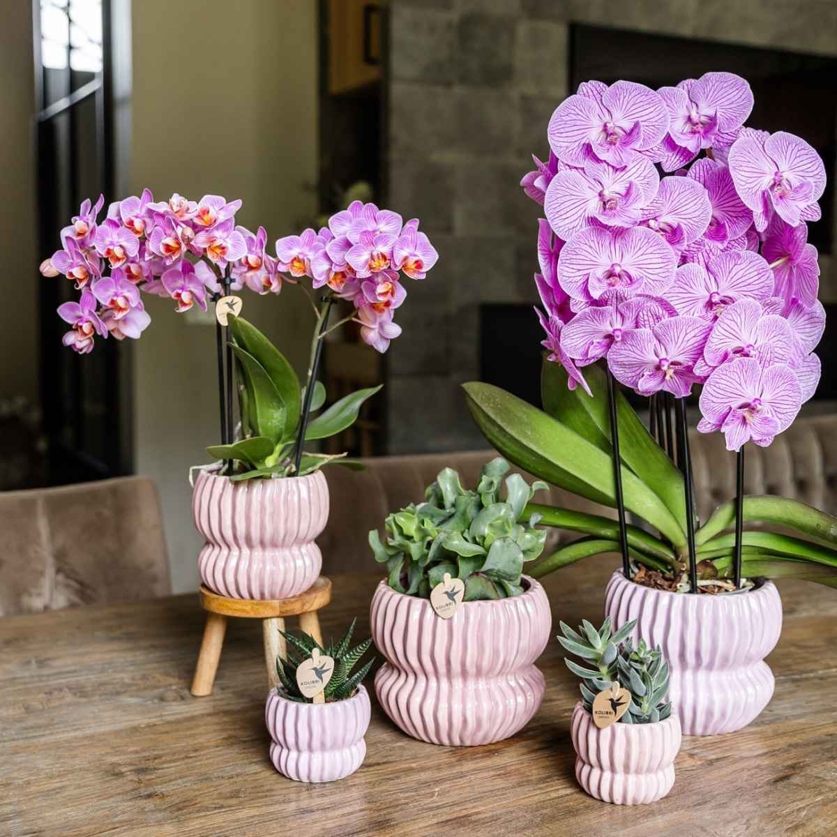 Kolibri Home | Horizon Übertopf - Rosa - ∅12cm