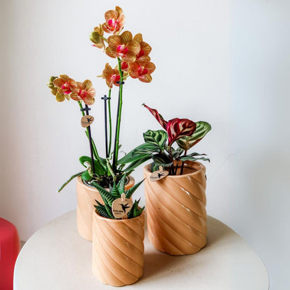 Kolibri Home | Candy Dekotopf | Hoch - Peach - Ø6cm