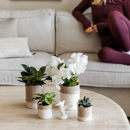 Kolibri Home | Bamboo Übertopf - Sand - Ø9cm