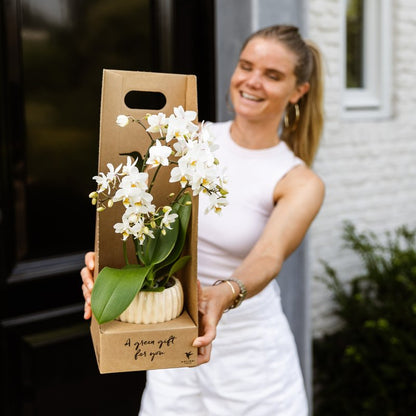 Kolibri Orchids | Weiße Amabilis Orchidee Geschenkset - inkl. Giftbox, Orchidee & Übertopf - Ø9cm