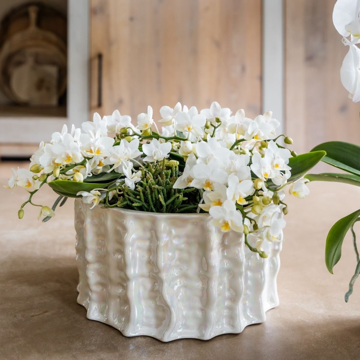 Kolibri Home | Oyster Schale - Ø30 cm