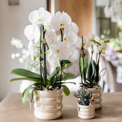 Kolibri Home | Glow Übertopf - Travertin - Ø12cm