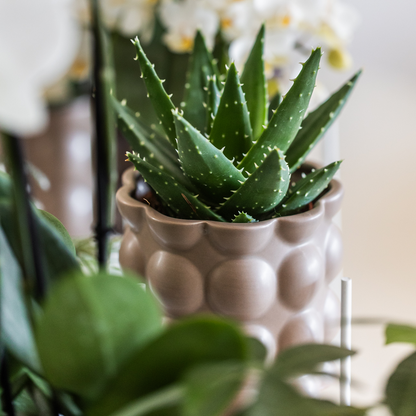 Kolibri Home | Cotton sierpot - Sand - Ø9cm