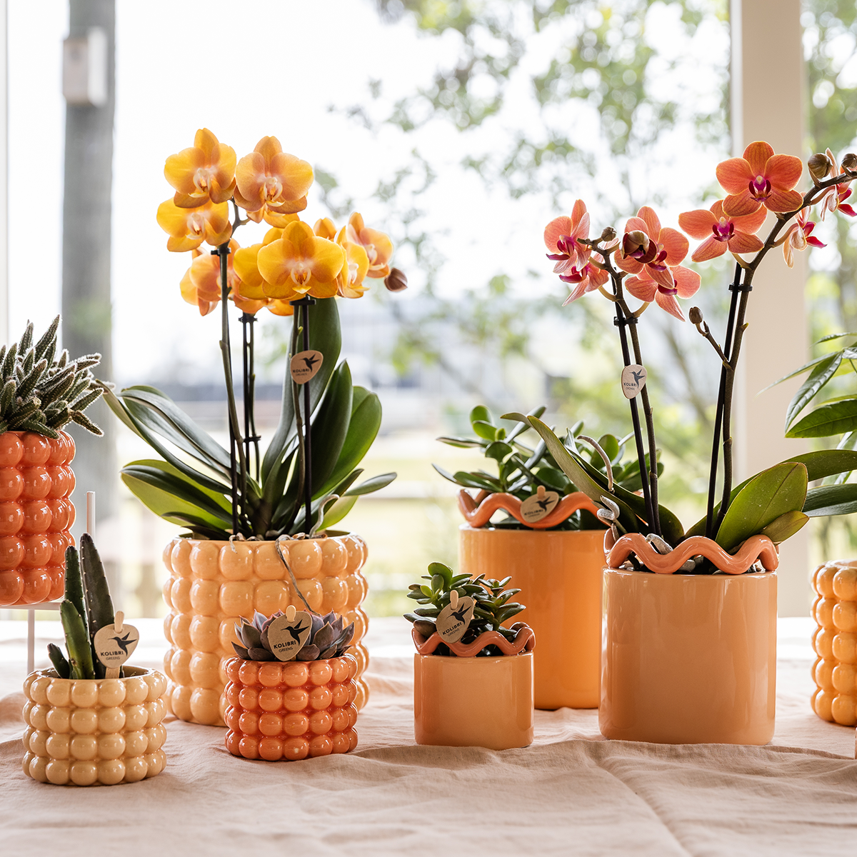Kolibri Home | Poppy Ziertopf - Peach - Ø6cm