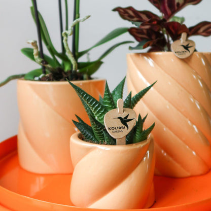 Kolibri Home | Candy Dekotopf - Peach - Ø6cm