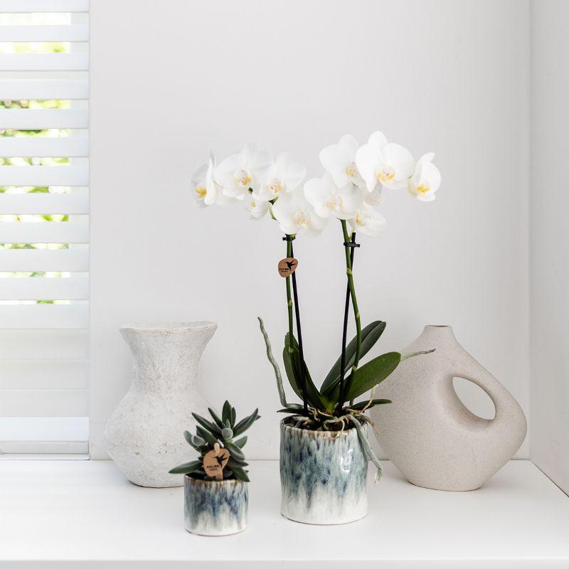 Kolibri Home | Sky Übertopf - Ø9cm
