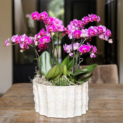 Kolibri Home | Oyster Schale - Ø30 cm