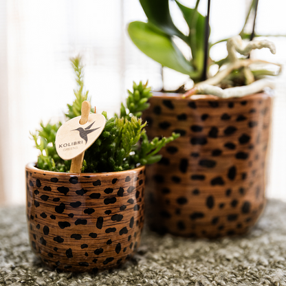 Kolibri Home | Leoparden-Ziertopf - Ø6cm