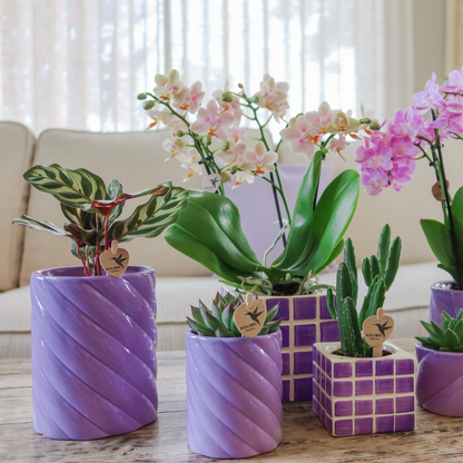 Kolibri Home | Candy Dekotopf | Hoch - Lilac - Ø9cm