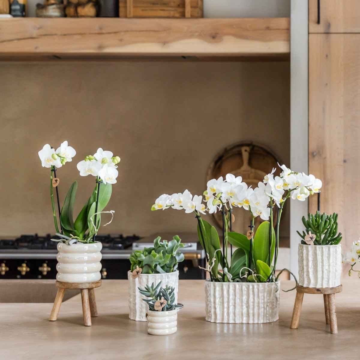 Kolibri Home | Glow Übertopf - Travertin - Ø6cm