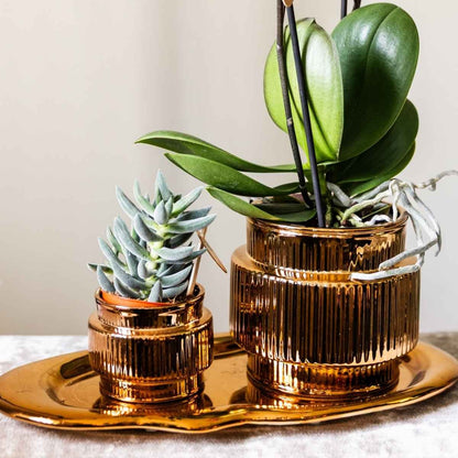 Kolibri Home | Allure Shiny Übertopf - Bronze - Ø6cm