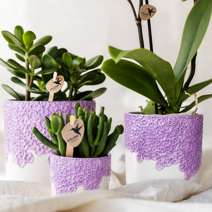 Kombi‑Deal | Bloom Lila Übertopf‑Set