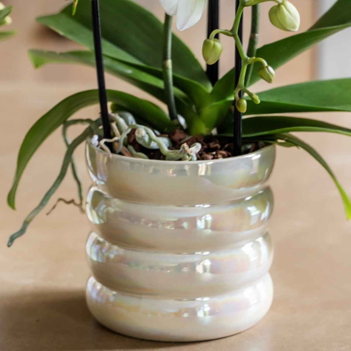 Kolibri Home | Glow Übertopf - Travertin - Ø12cm