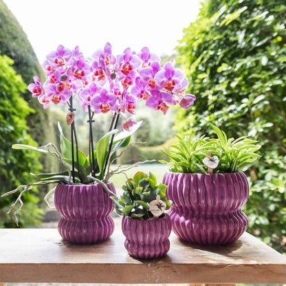 Kolibri Home | Horizon Übertopf - Violett - ∅12cm