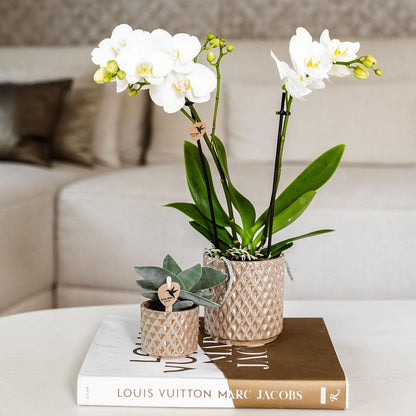 Kolibri Home | Diamond Pearl Dekotopf - Sand - Ø9cm