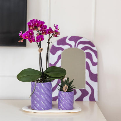 Kolibri Home | Candy Dekotopf | Hoch - Lilac - Ø9cm
