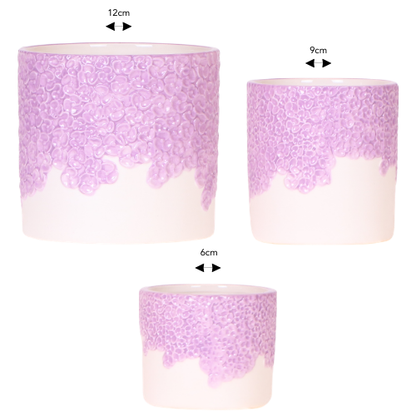Kombi‑Deal | Bloom Lila Übertopf‑Set