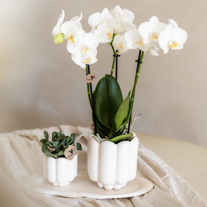 Kolibri Home | Retro-Ziertopf - White - Ø9cm