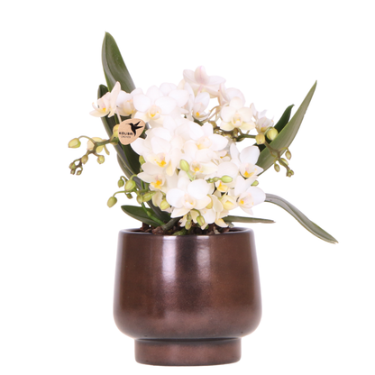Leonor mit Scandic Copper Topf