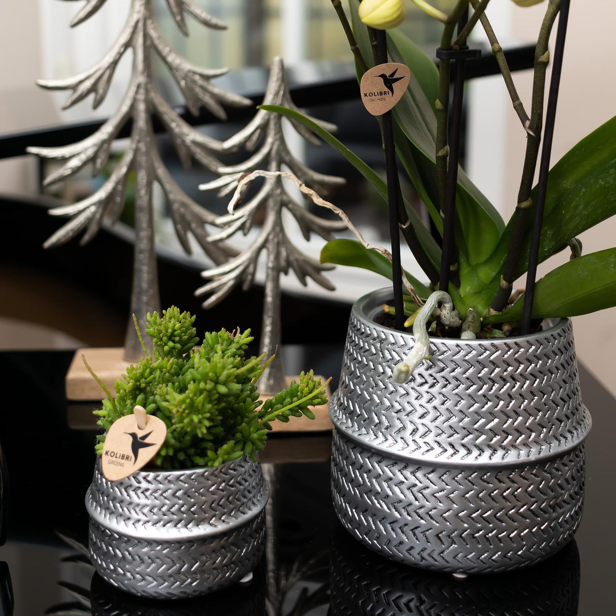 Kolibri Home | Groove Blumentopf - Goldener Keramik-Topf - Ø9cm