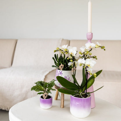 Kolibri Home | Gradience Übertopf - Violett - Ø9cm
