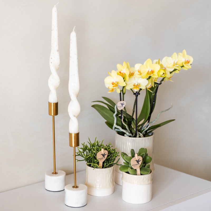 Kolibri Home | Willow  Übertopf - Travertine - Ø9cm
