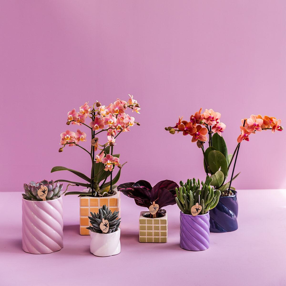 Kolibri Home | Candy Dekotopf | Hoch - Pink - Ø9cm