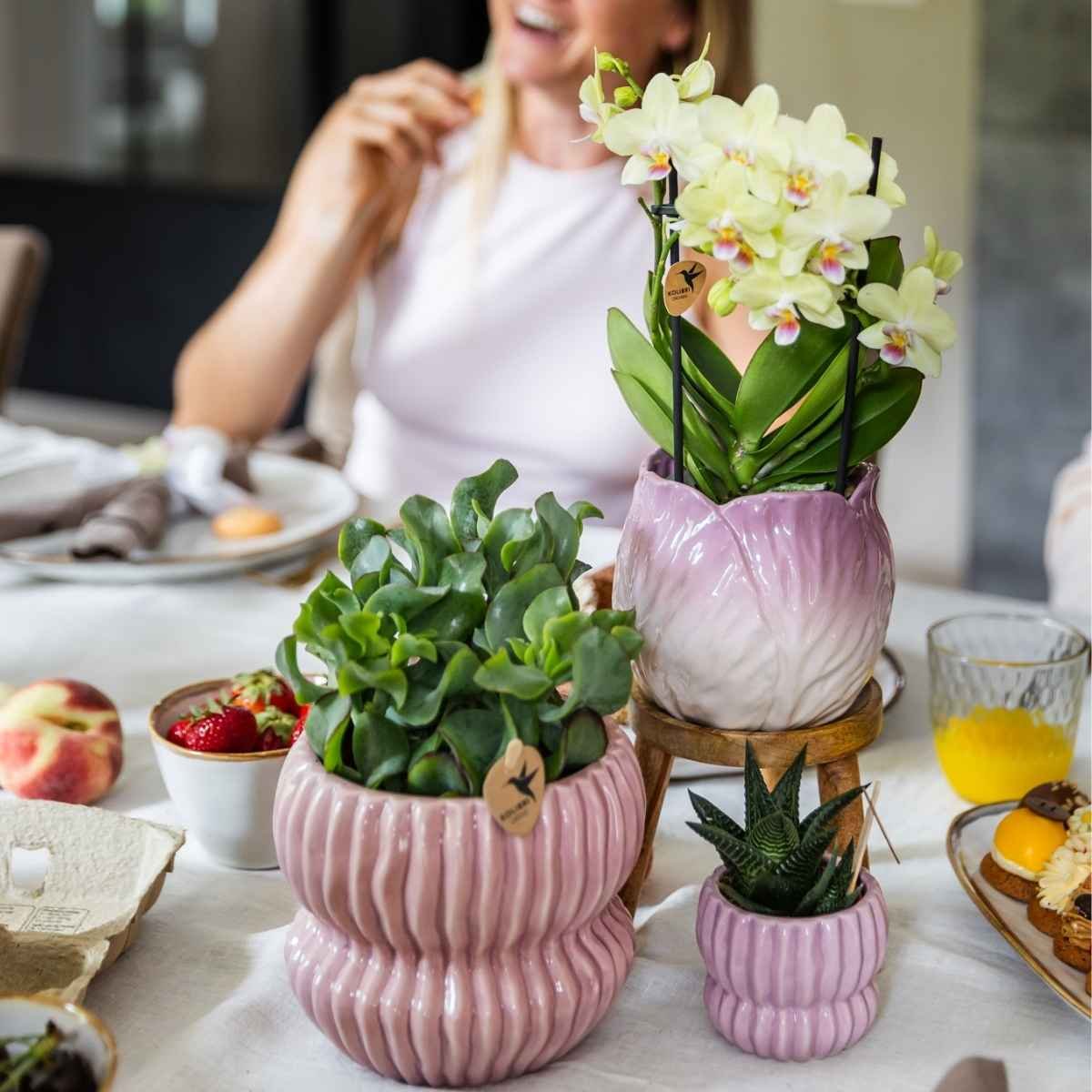 Kolibri Home | Horizon Übertopf - Rosa - ∅12cm